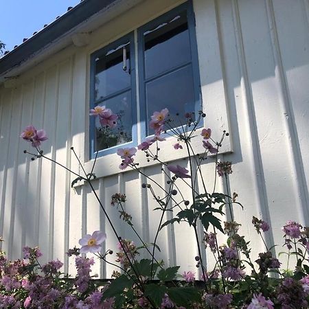 Seaside Cottage Haga Park Frobygarda Dış mekan fotoğraf