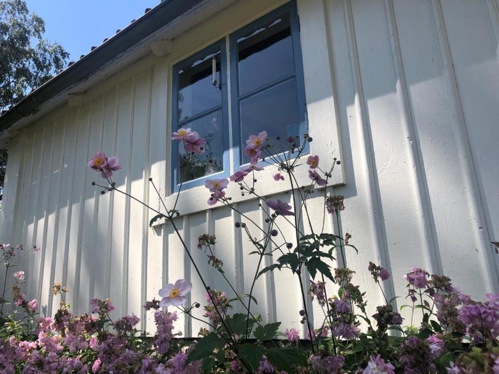Seaside Cottage Haga Park Frobygarda Dış mekan fotoğraf